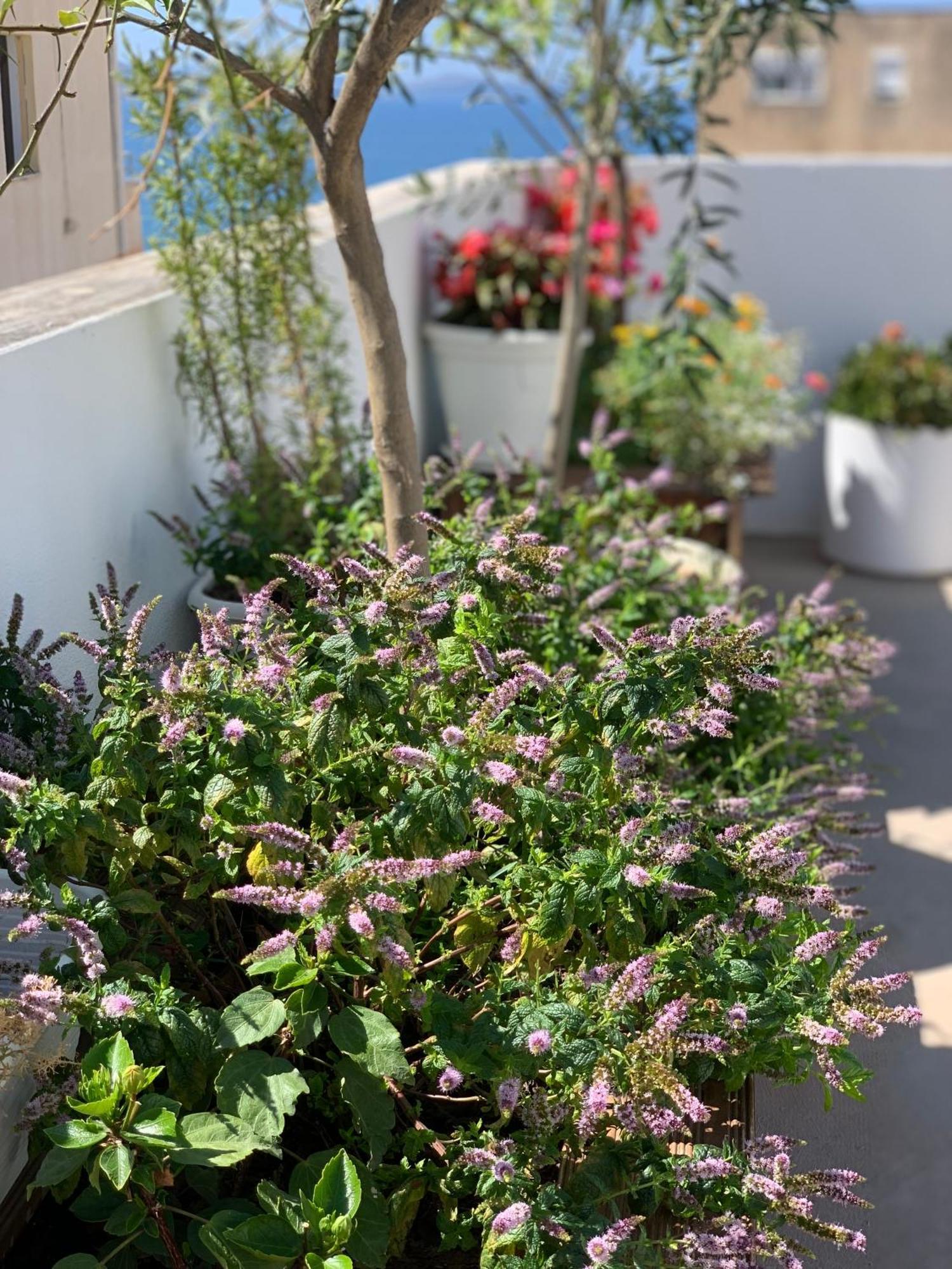 Dream Apartments Saranda Zewnętrze zdjęcie